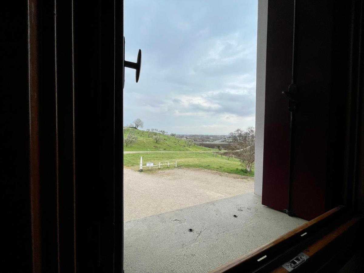 Vecio Portico Farm stay